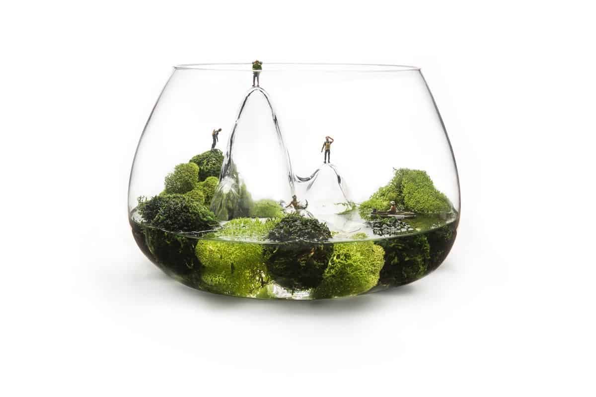 Aruliden Glasscape Fishbowl Terrarium Plant