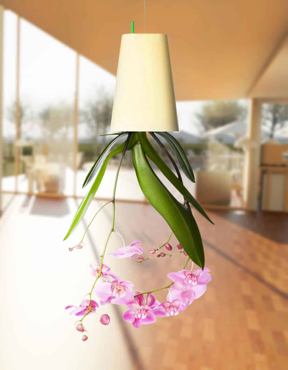 Boskke-Sky-Planter-Pink-Orchid-Upside-Down-Design