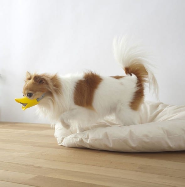 Duck-Dog-Muzzle-Cute-Pet-Gift-to-Buy Duck-Dog-Muzzle-Cute-Pet-Gift-to-Buy