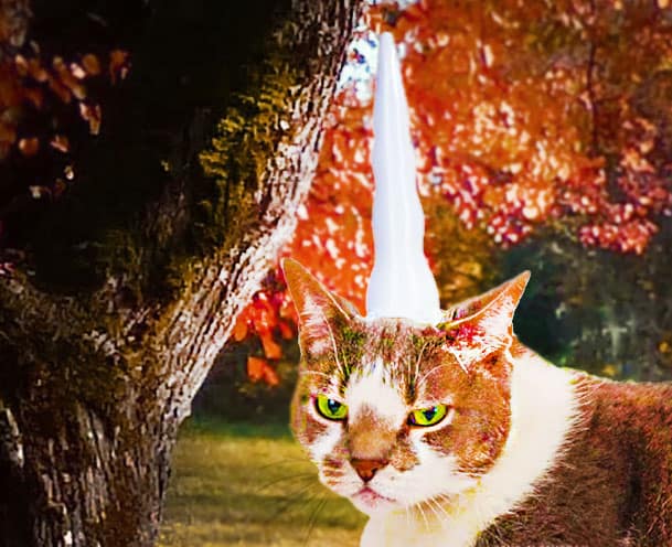 Inflatable-Unicorn-Horn-for-Cats-Cool-Gift-to-Buy-Pet-Lovers