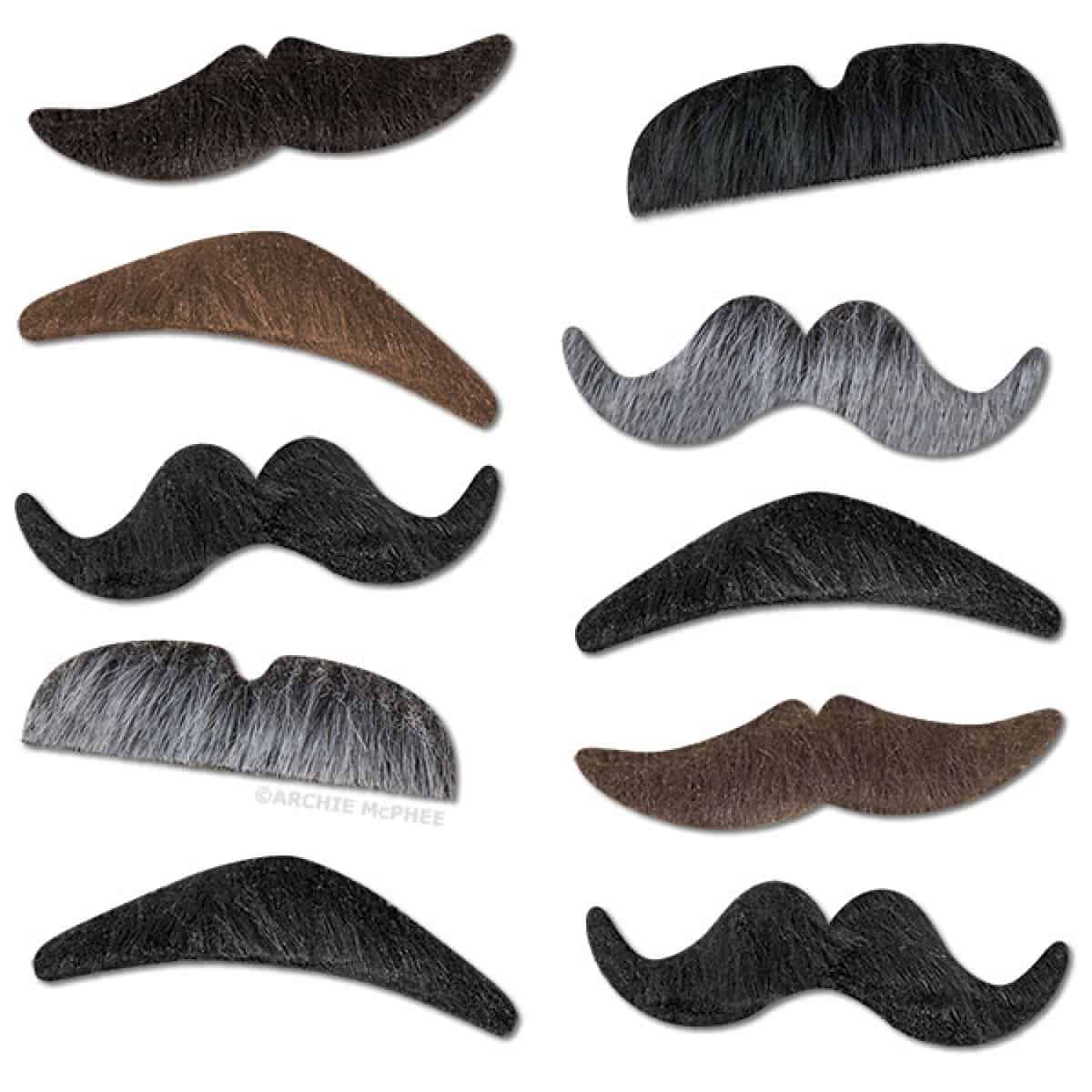 Mustache Party Assorted Hairs