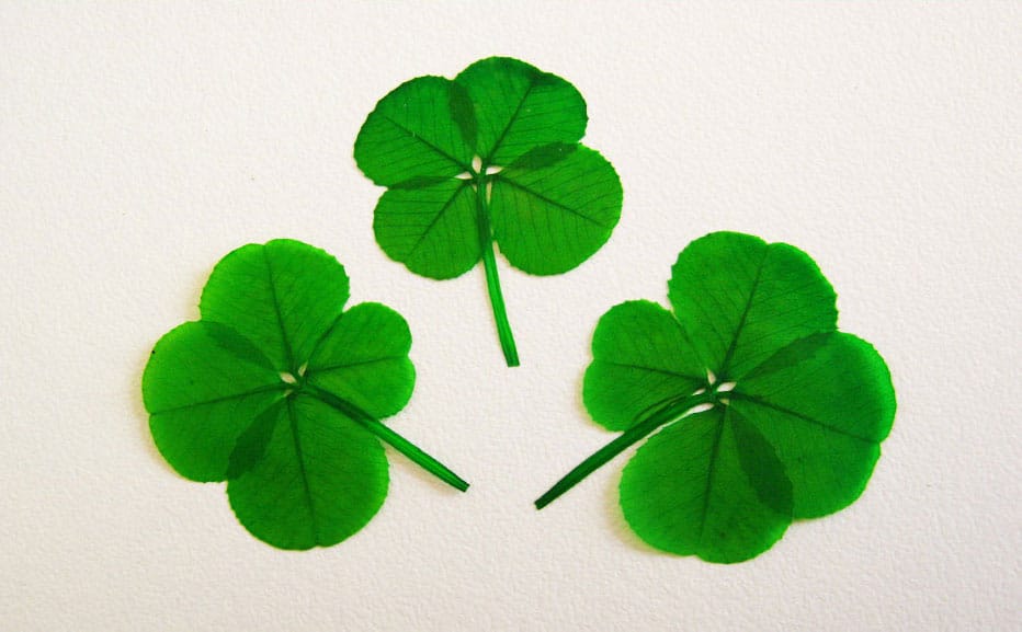 SparklyPony-Insta-Luck-Four-Leaf-Clover-Cute-Gift-Idea