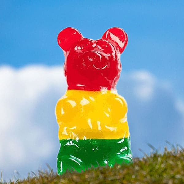 The-Worlds-Largest-Gummy-Bear-Awesome-Gift-to-Buy-Kids