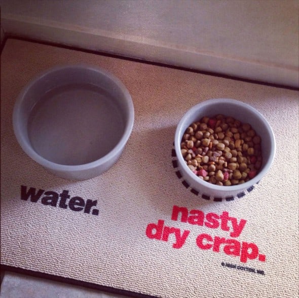 Water-and-Nasty-Dry-Crap-Mat-Pet-Gif Cool Suff to Buy Water-and-Nasty-Dry-Crap-Mat-Pet-Gif Cool Suff to Buy