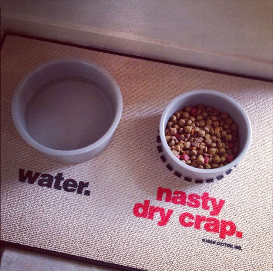 Water-and-Nasty-Dry-Crap-Mat-Pet-Gif Cool Suff to Buy