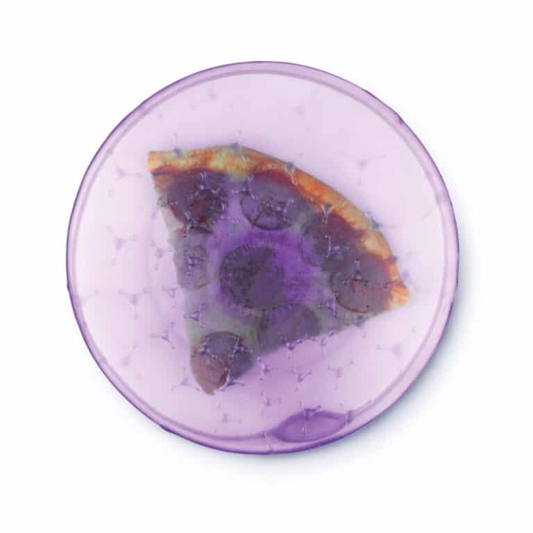 Cover Blubber Food Wrapper Purple Lid Pizza