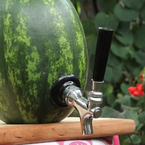 Deluxe Watermelon Tap Kit Party Keg