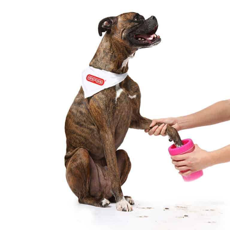 Dexas MudBuster Portable Dog Paw Cleaner Wash Foot
