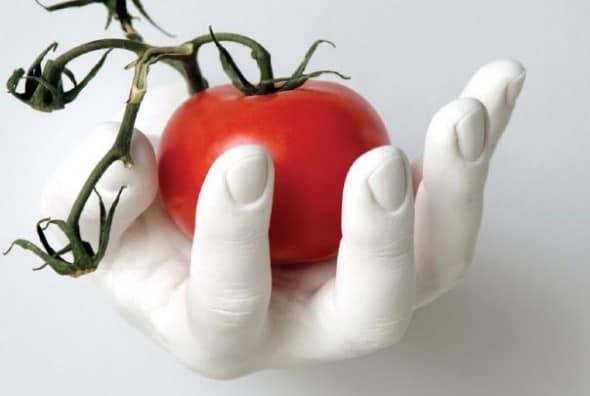 Grab Cmere and Offer Hook Hands Weird Gift Idea Grab Cmere and Offer Hook Hands Weird Gift Idea