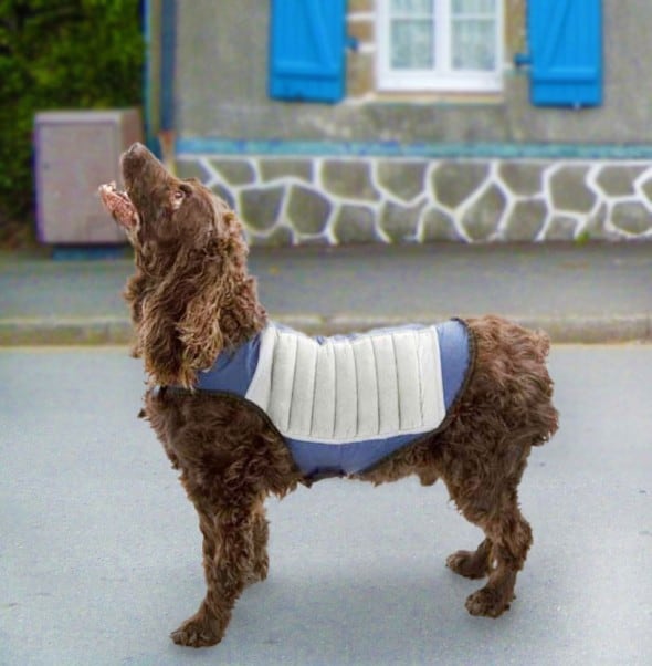 K Cool K9 Dog Cooling Jacket Gift Idea to Buy Dog Lover 590x602 - A Gentleman’s Guide to Gifting