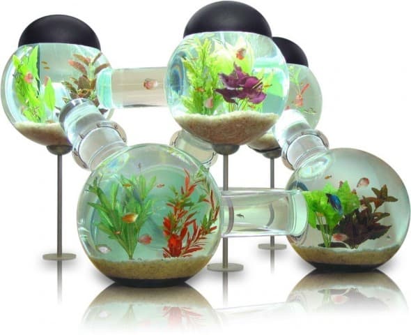 Labyrinth Aquarium Cool Stuff to Buy Labyrinth Aquarium Cool Stuff to Buy