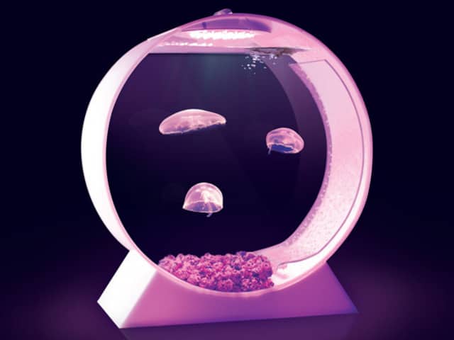 Moon Jellyfish Desktop Tank Pink LED Light Exotic Pet