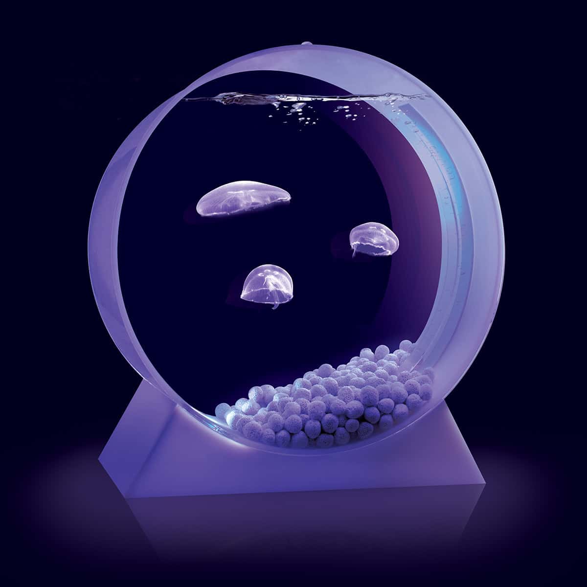 Moon Jellyfish Desktop Tank Purple Led Cool Gift Idea