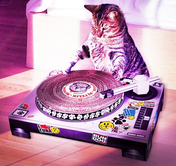 turntable cat scratcher