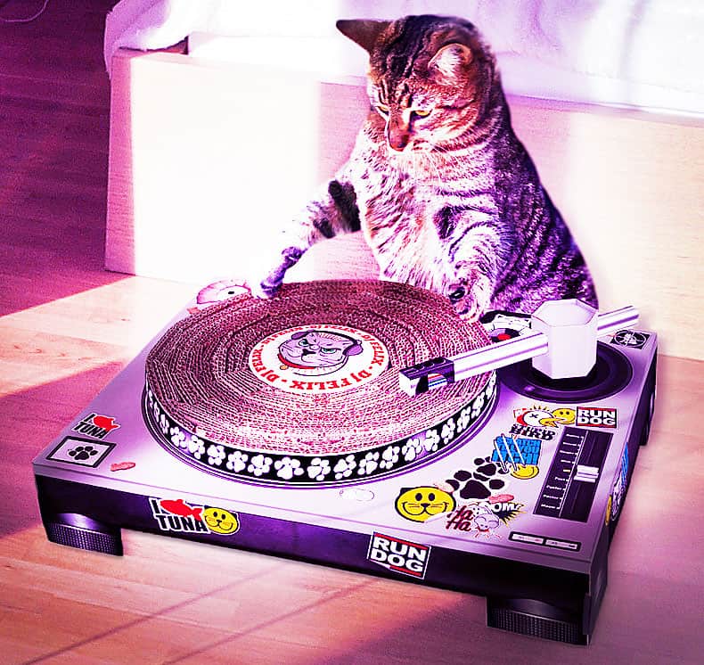 Cat Scratch DJ Cool Cat Scratcher Gift to Buy