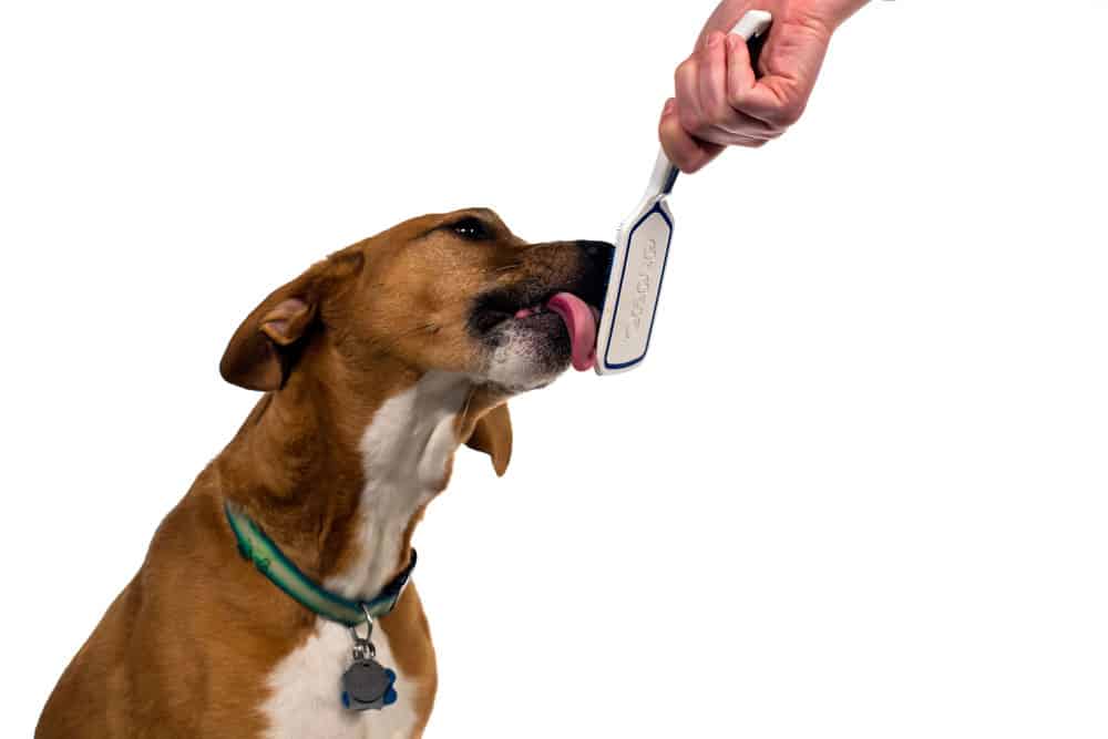 Orapup-Dog-Breath-Brush-Dog-Licking-Hygiene