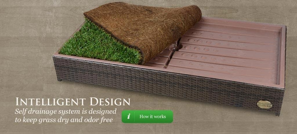 Porch Potty Premium Dog Litter Box Grass Carpet Bottom