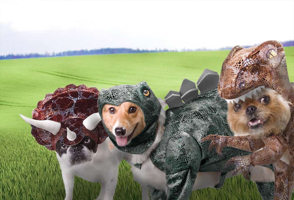 Animal-Planet-Dinosaur-Dog-Costumes-Cool-Pet-Related-Stuff-to-Buy