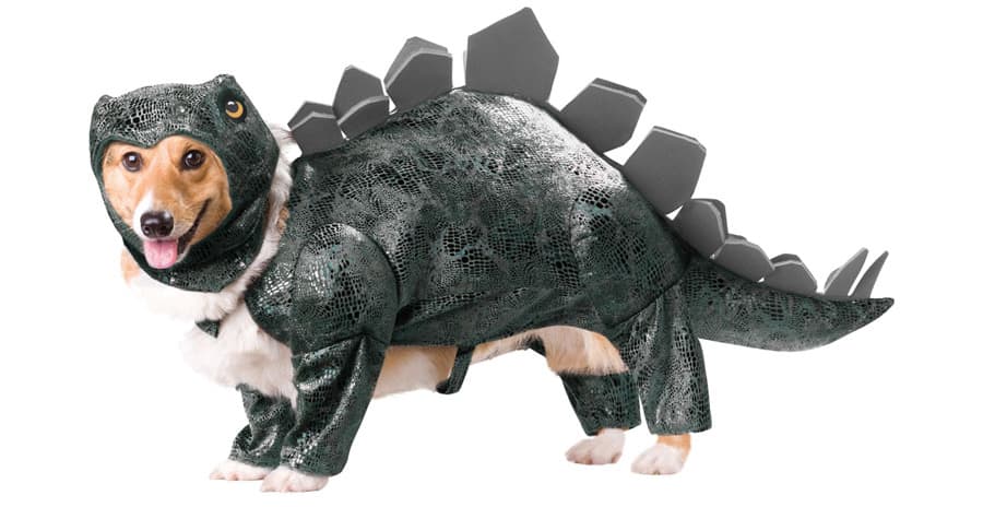 Animal-Planet-Dinosaur-Dog-Costumes-Cute-Stegosaurus