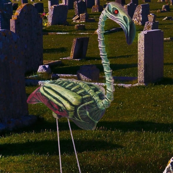 Zombi Flamingo Halloween Decoration Lawn Backyard Weird Stuff to Buy Undead Bird Zombi Flamingo Halloween Decoration Lawn Backyard Weird Stuff to Buy Undead Bird