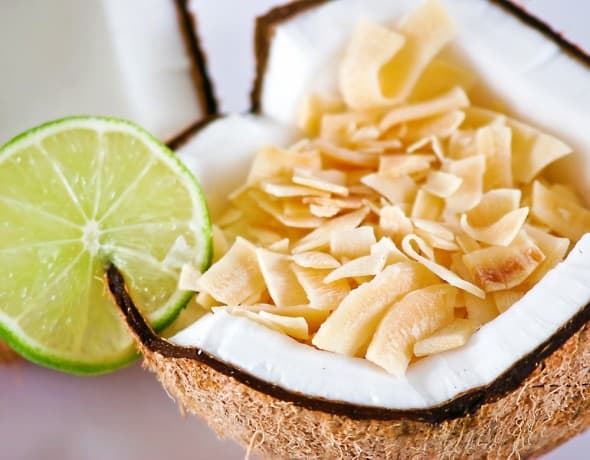 Dang-Toasted-Coconut-Chips-Healthy-Food-Snack-for-Kids Dang-Toasted-Coconut-Chips-Healthy-Food-Snack-for-Kids