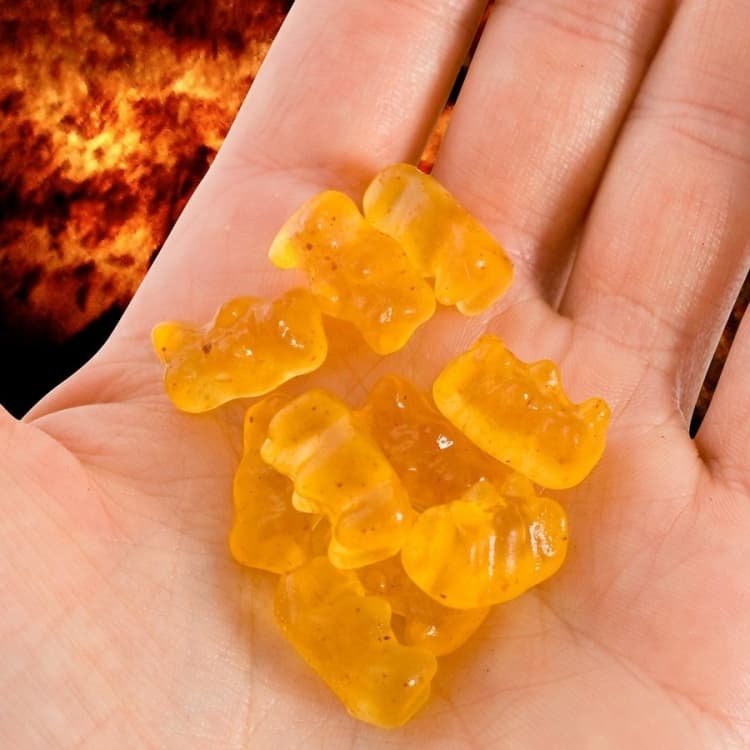 Evil Hot Gummi Bears  Exotic Candy to Try