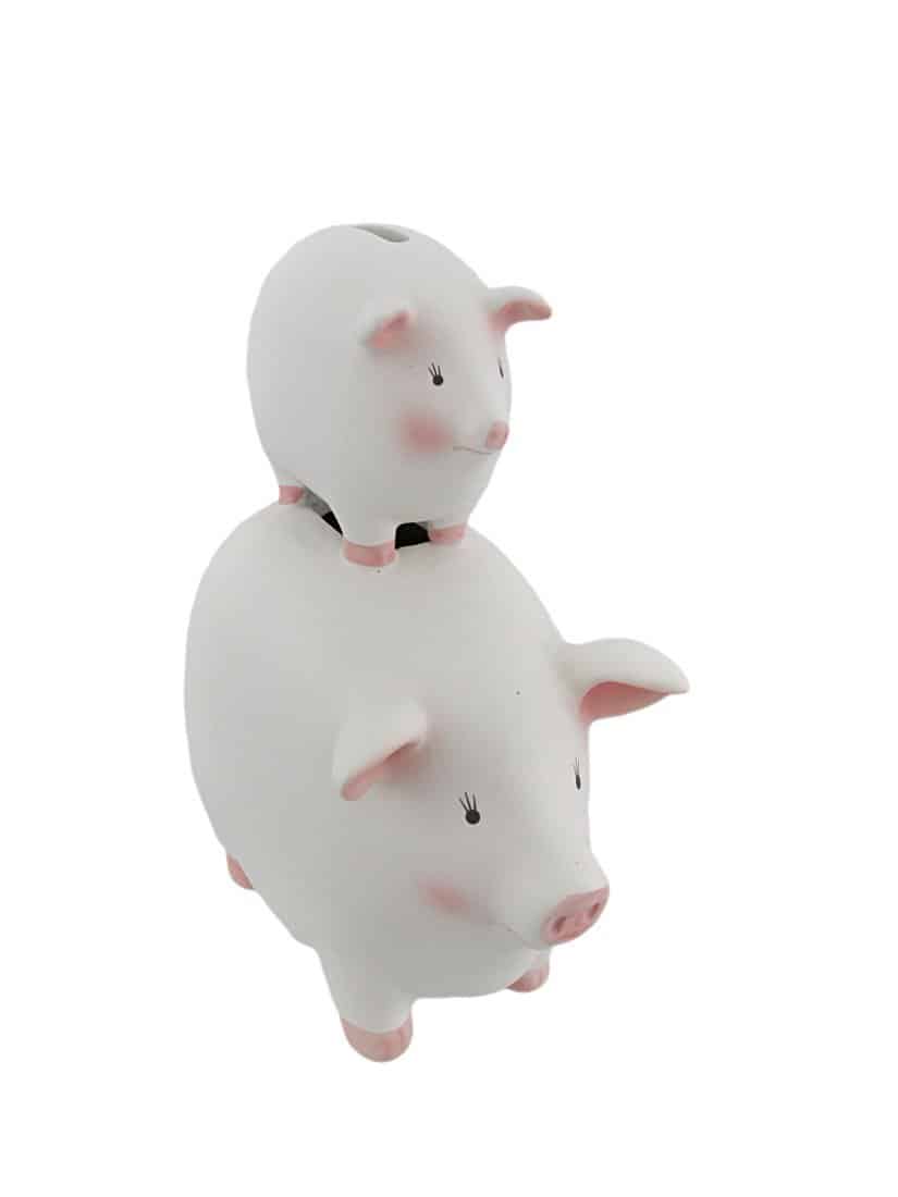 His Money Her Money Ceramic Piggy Bank Cute Little Piggy on Top