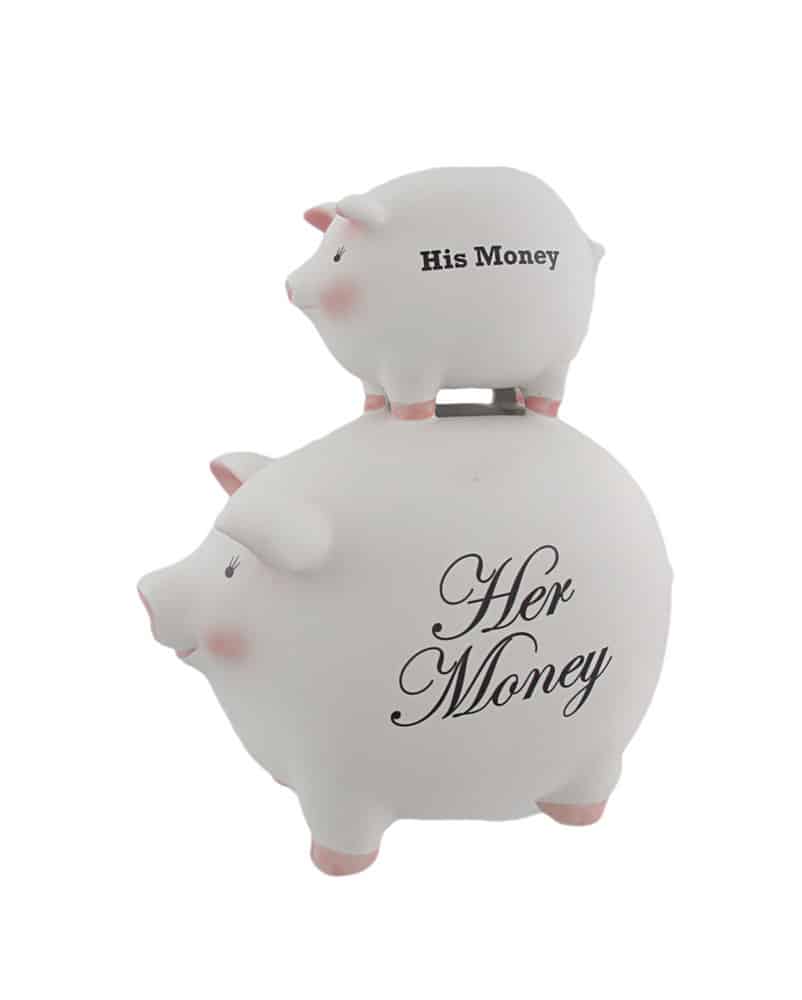 His Money Her Money Ceramic Piggy Bank Funny Novelty Gift for Couples