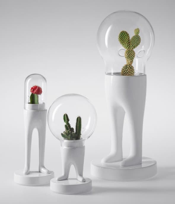 Domsai Terrarium by Matteo Cibic Space Age Cactus Planter Domsai Terrarium by Matteo Cibic Space Age Cactus Planter
