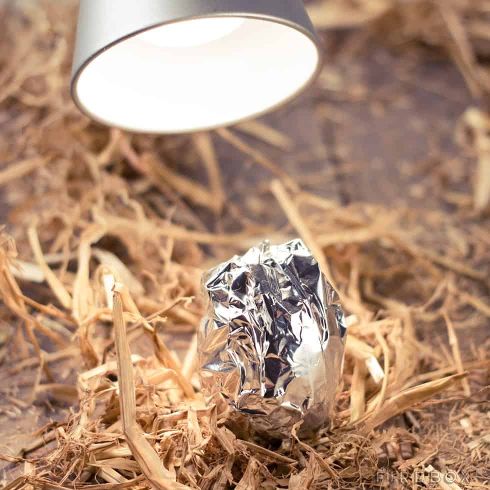 Grow Your Own Chicken Egg Tin Foil Lamp Incubation