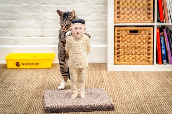 Kim Jong-un Cat Scratching Post Kim Jong-un Cat Scratching Post