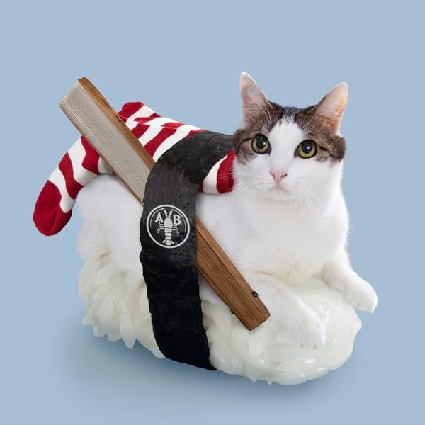 Sushi Cats by TandNPeanuts Peppermint Striped Sock Weird Creature