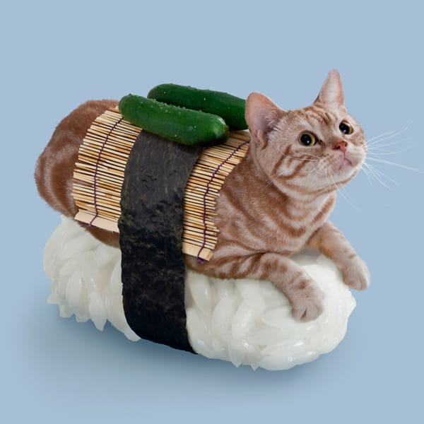 Sushi Cats by TandNPeanuts Pickle Booster and Tatami Mat Fictional Creature