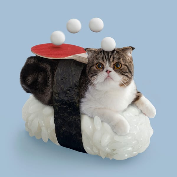 Sushi Cats by TandNPeanuts Ping Pong Psychic Creature