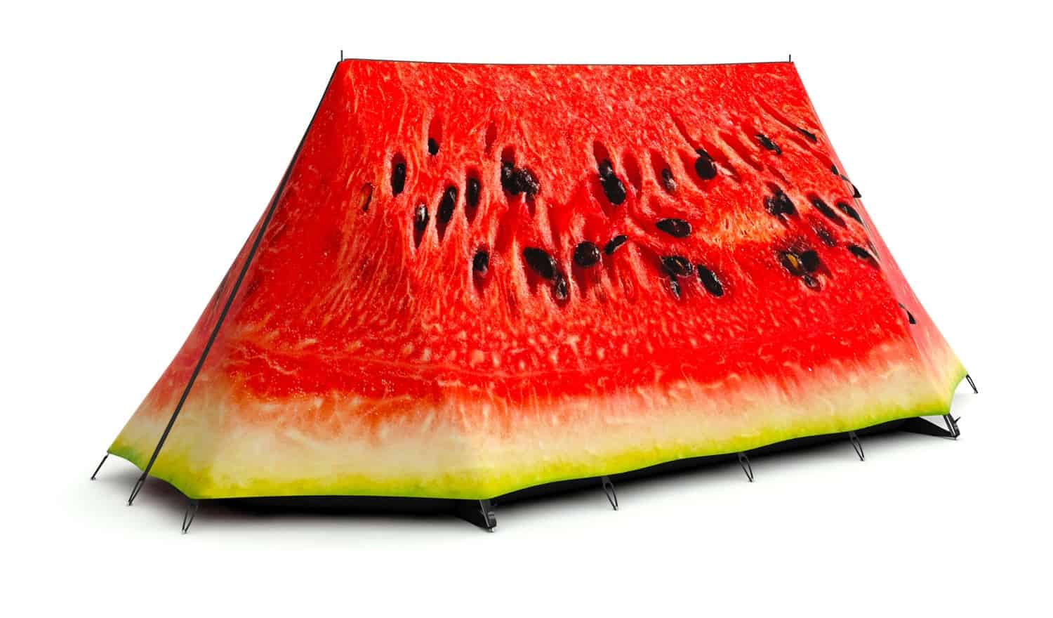 What a Melon 2-Person Tent Novelty Item Watermelon