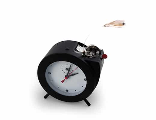 Kikkerland Tweet Alarm Clock Cute Stuff to Buy