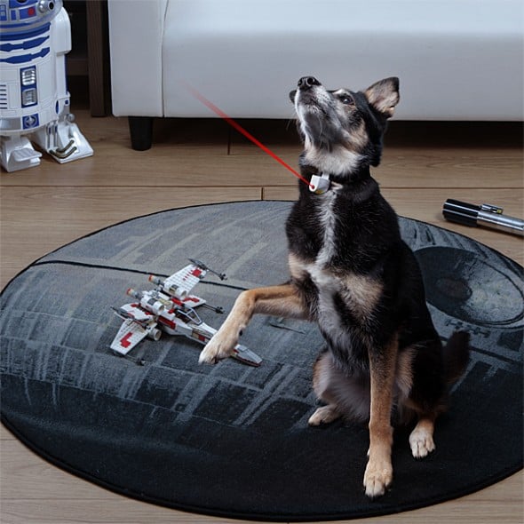 Laser Collar Pet Toy Fun Pet Toy Laser Collar Pet Toy Fun Pet Toy