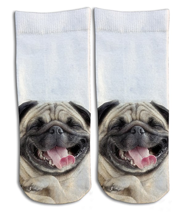 Laughing Pug Barely Show Socks Cool Cute Stuff to Buy Her