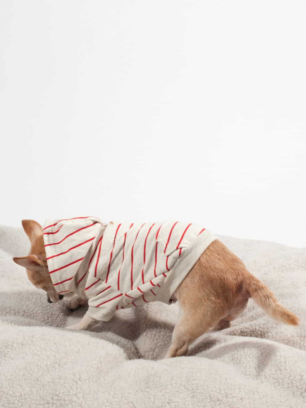 American Apparel Striped Flex Fleece Dog Zip Hoodie Dig