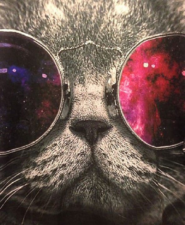 Pink Queen Sunglasses Cat Sweater Cool Gift to Buy Her Pink Queen Sunglasses Cat Sweater Cool Gift to Buy Her