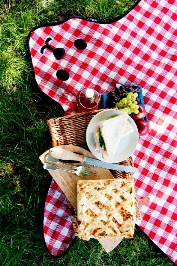 Suck UK Bear Skin Picnic Blanket Cool Gift Idea to Buy Suck UK Bear Skin Picnic Blanket Cool Gift Idea to Buy