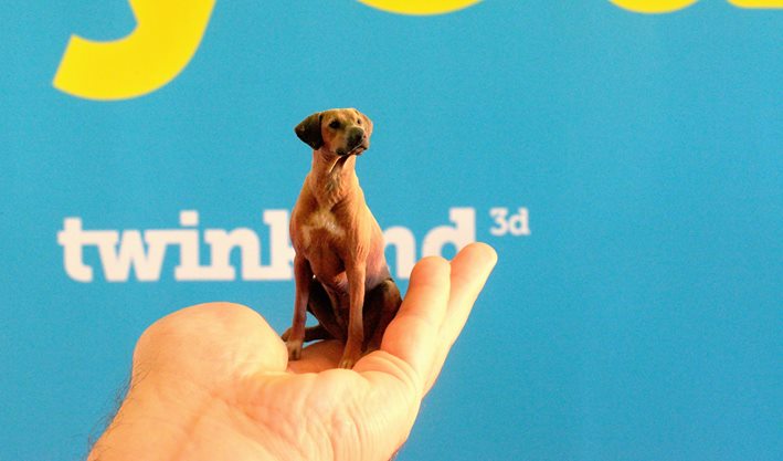 Twinkind 3d-printed Life-like Photo Figurines Cute Dog Replica