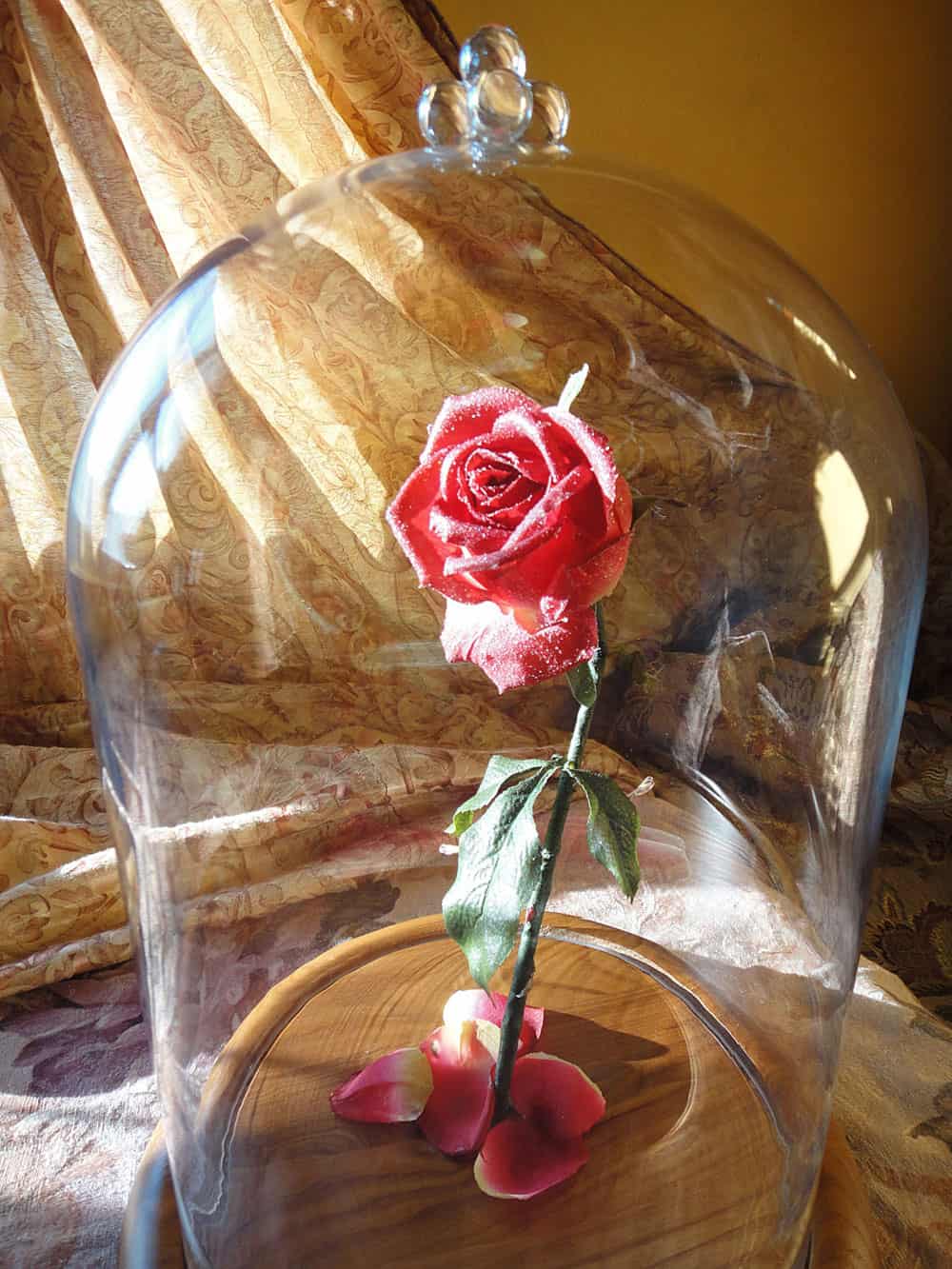 Hands Full of Crafts Beauty and the Beast Inspired Enchanted Rose Romantic Stuff to Buy Her