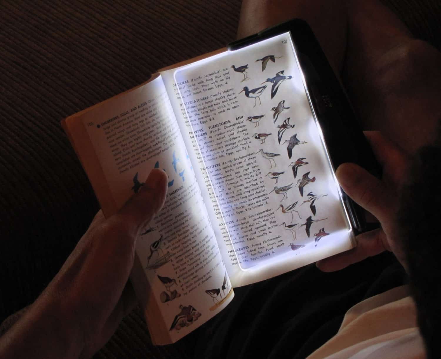 Carson PageGlow LED Reading Lights Buy Cool Gift for Dad