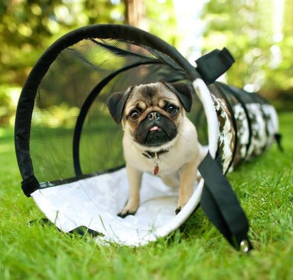 Play Tunnel Buy Cool Dog Toy Play Tunnel Buy Cool Dog Toy