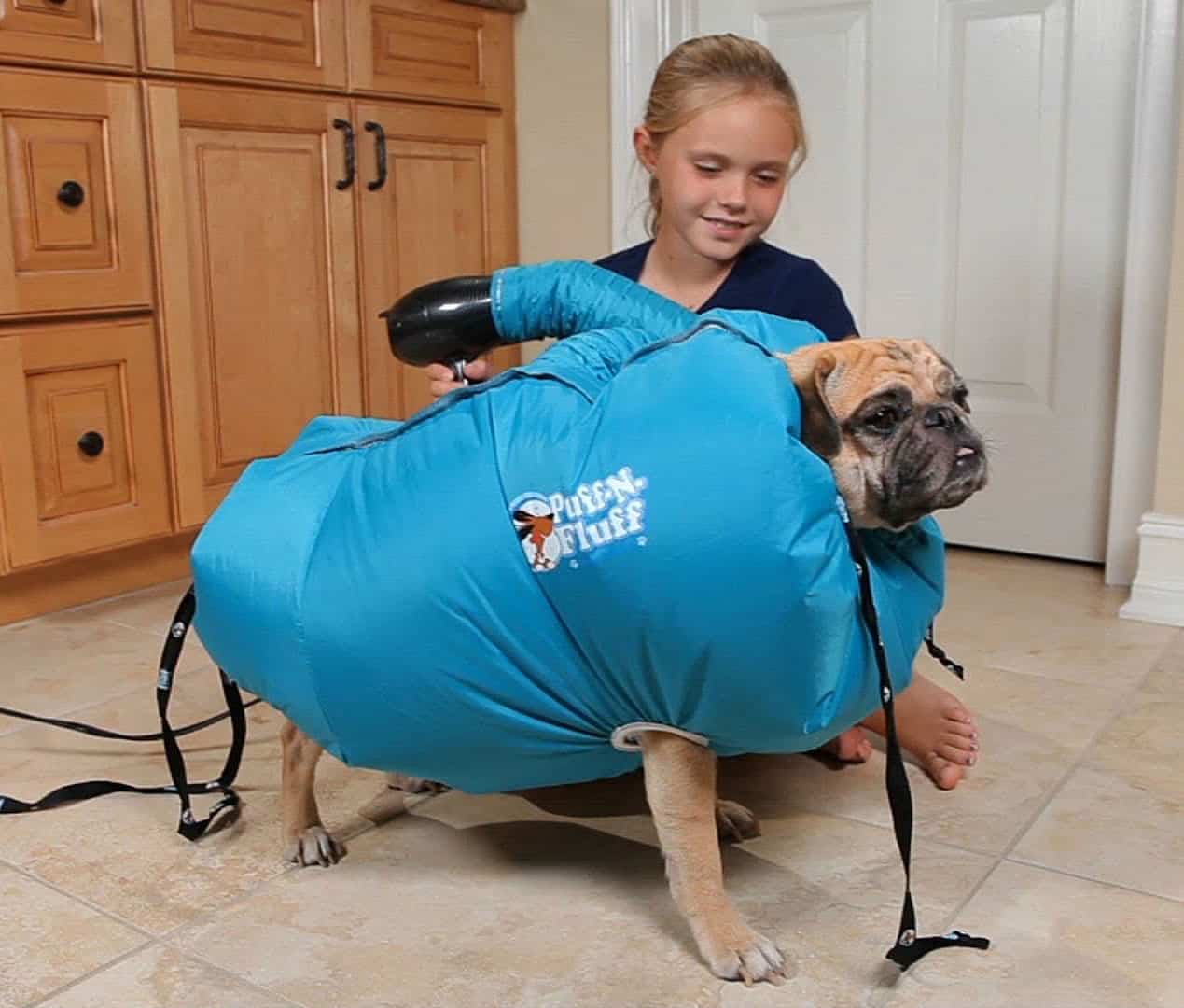Puff-N-Fluff Dog Dryer Buy Something Better that a Pet Towel
