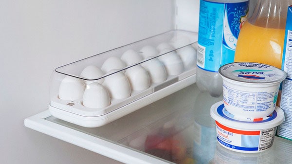 Quirky Egg Minder  Egg Tray Technology