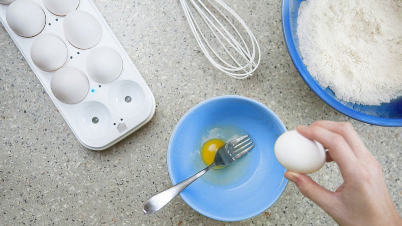 Quirky Egg Minder  LED Function