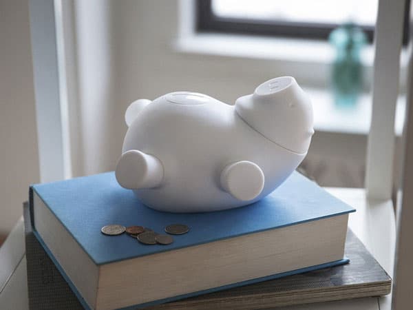 Quirky Porkfolio Coin Bank Cute Smart Gift Idea to Buy