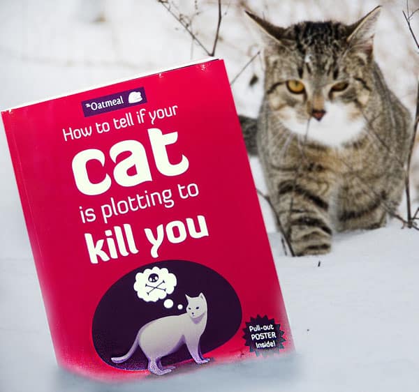 How-to-Tell-If-Your-Cat-Is-Plotting-to-Kill-You-Buy-Funny-Jokes-Pet-Book